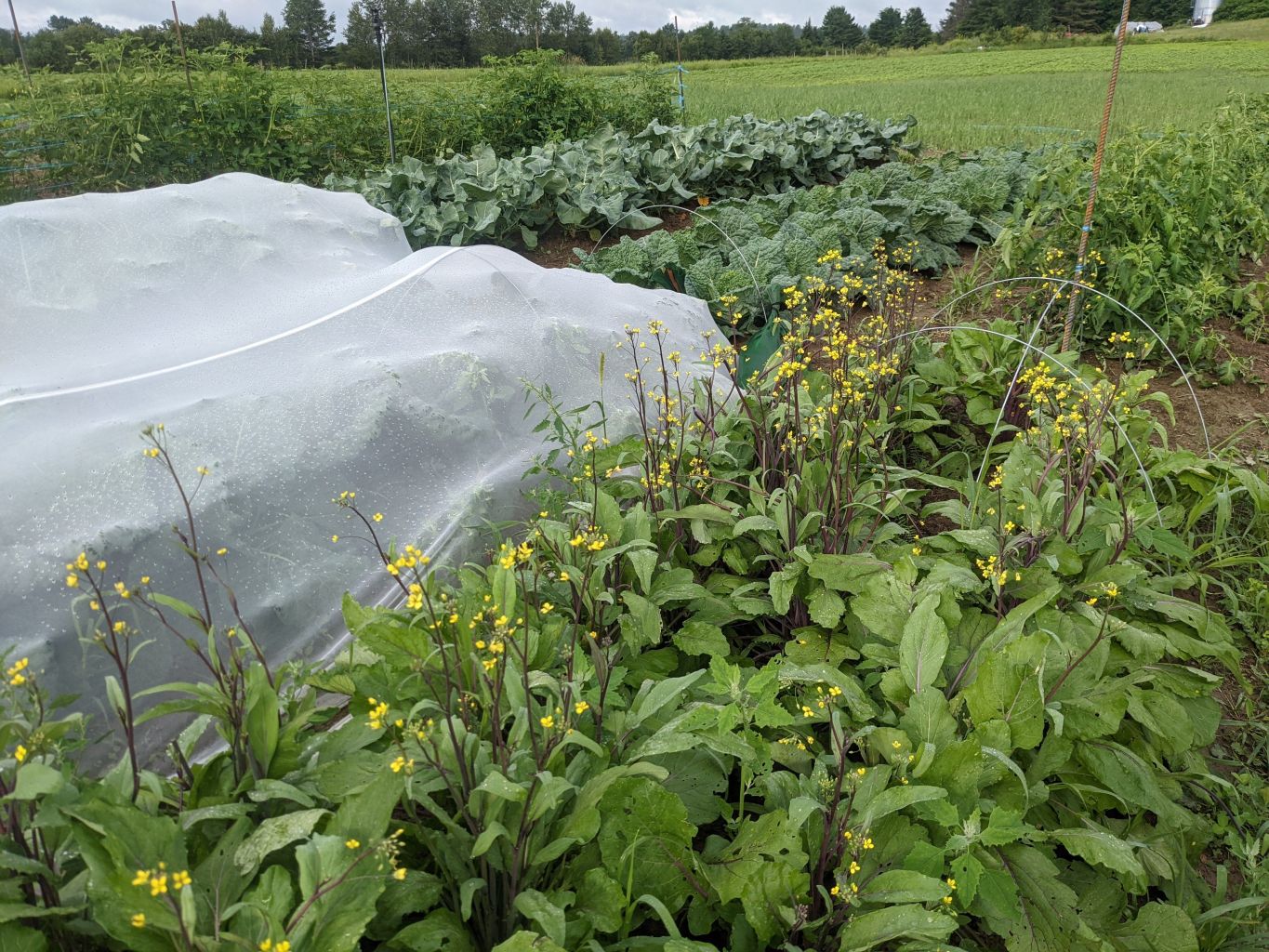 Image de la ferme